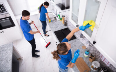What to look for in a house cleaner: A step by step guide